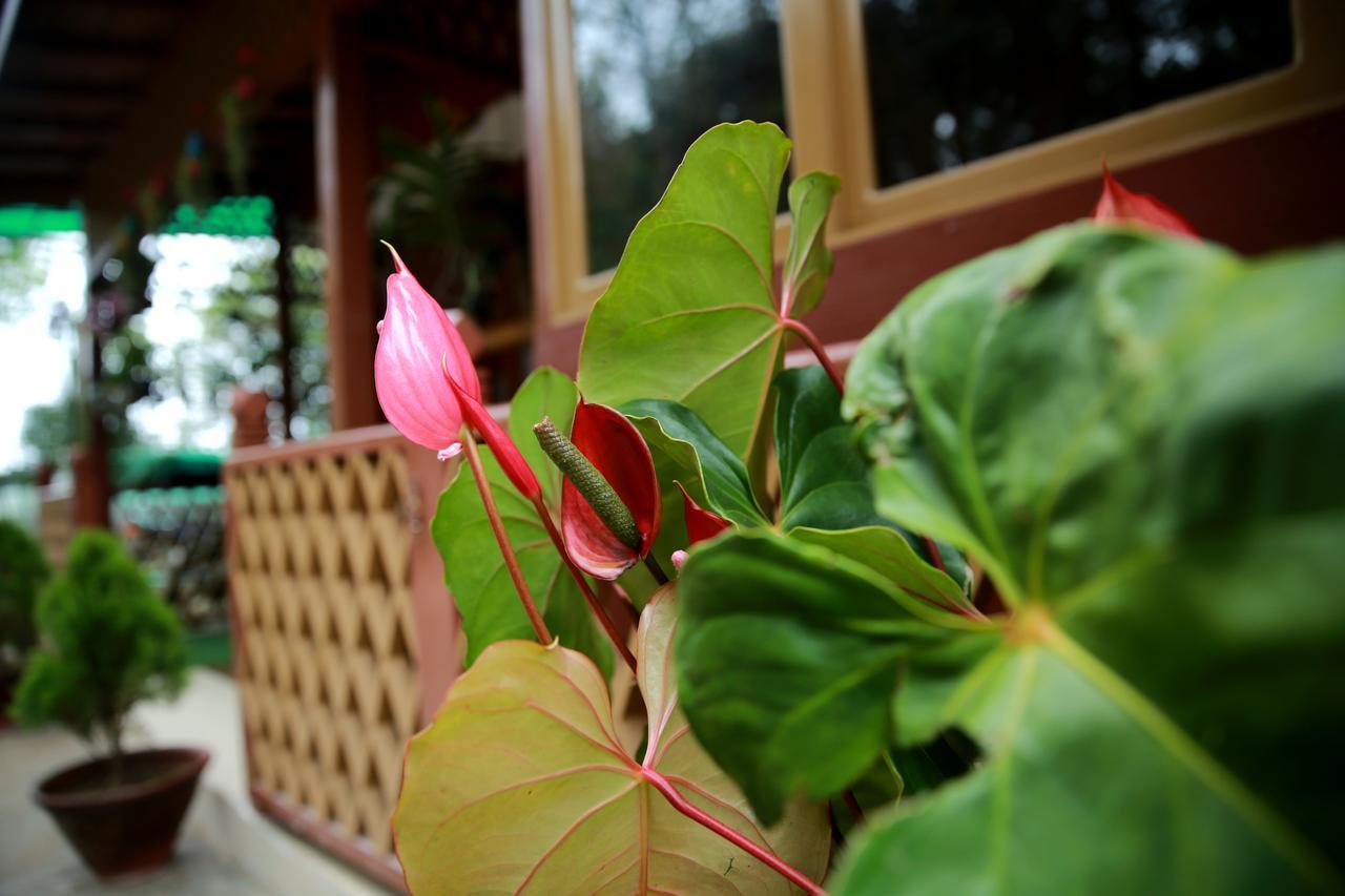 Essence Motel Kalaw Zewnętrze zdjęcie